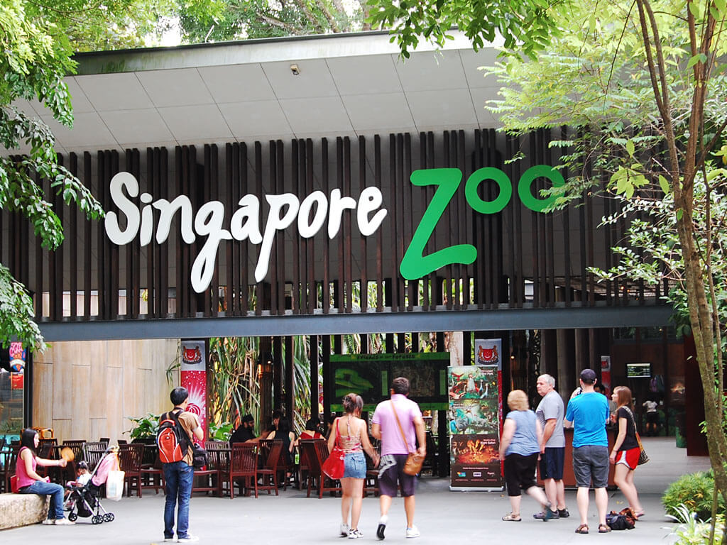 SINGAPORE ZOO